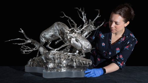 A curator in a blue dress and gloves adjusts the base of a large silver sculpture of two rutting red deer stags.
